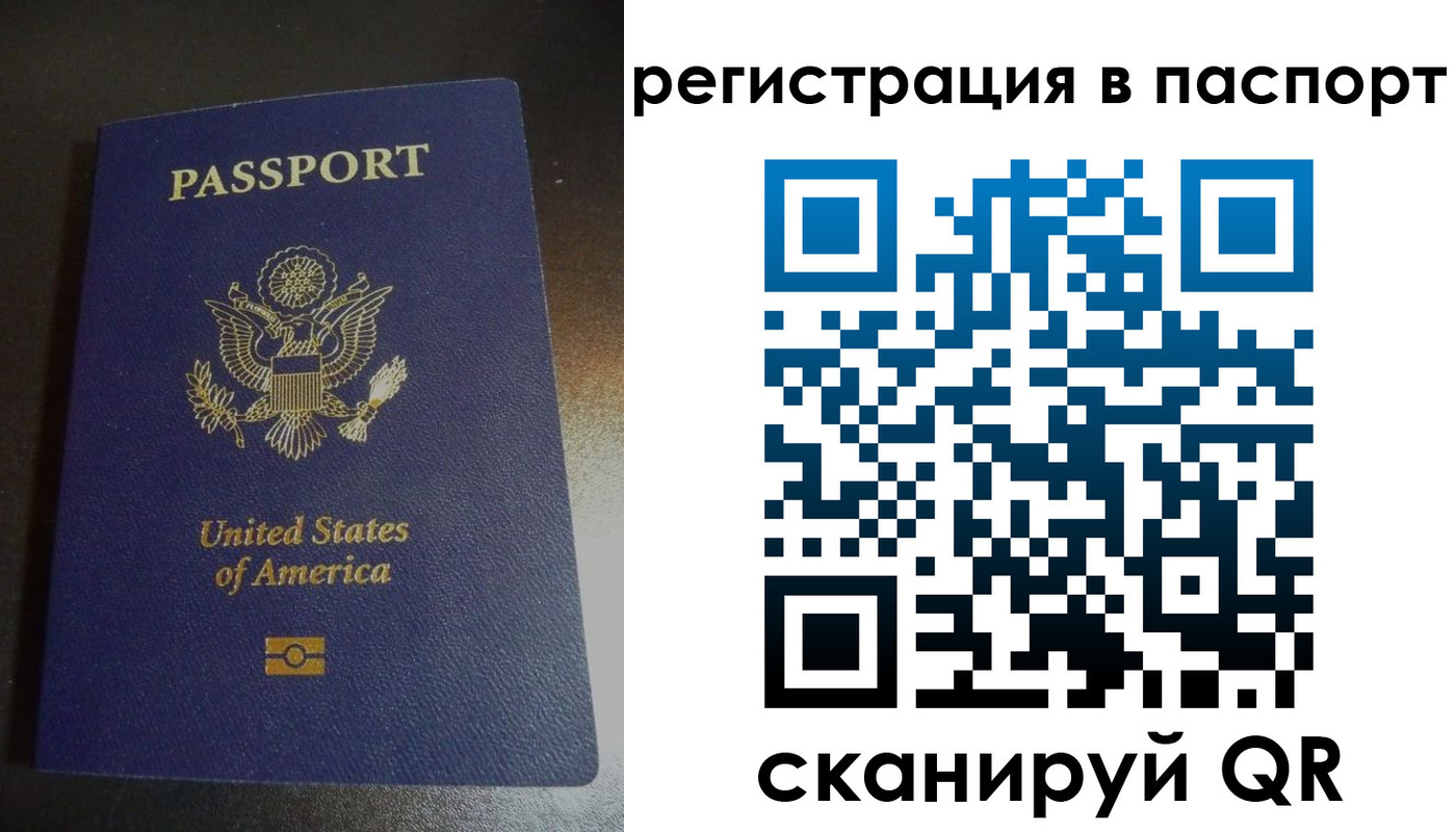 прописка для школы в Сальске